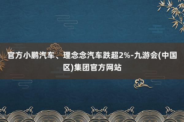 官方小鹏汽车、理念念汽车跌超2%-九游会(中国区)集团官方网站