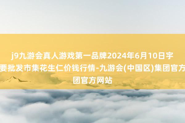 j9九游会真人游戏第一品牌2024年6月10日宇宙主要批发市集花生仁价钱行情-九游会(中国区)集团官方网站