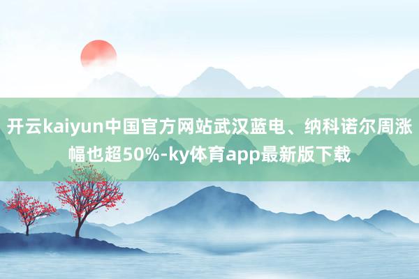 开云kaiyun中国官方网站武汉蓝电、纳科诺尔周涨幅也超50%-ky体育app最新版下载