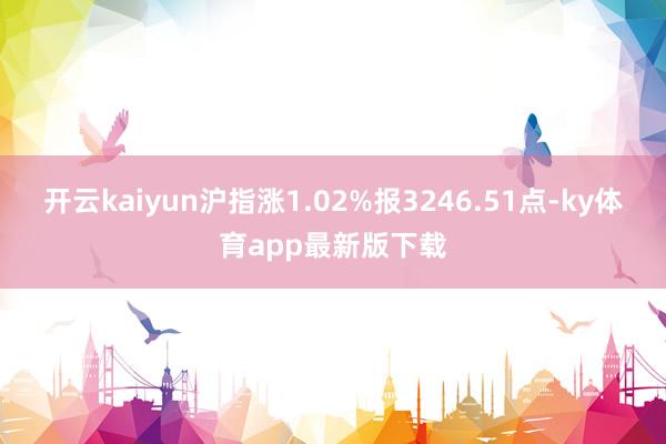 开云kaiyun沪指涨1.02%报3246.51点-ky体育app最新版下载